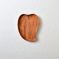 Empty mango shaped wooden serving tray, top view on white background